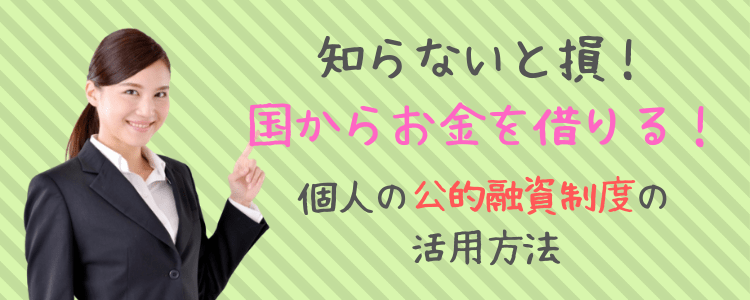 国からお金借りる 個人